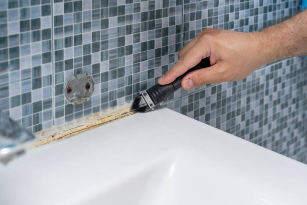 Best Mold Damage Repair  in Rmel Valley Village, CA