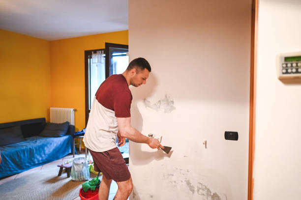 Best Best Mold Removal Companies  in Rmel Valley Village, CA